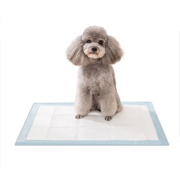 Non Slip Help Training Pet Pad Dog Cat Bed Pad Pet Pee Pad