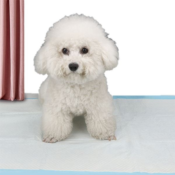 Odor Eliminate Pet Pad Supplies For Pet Beds